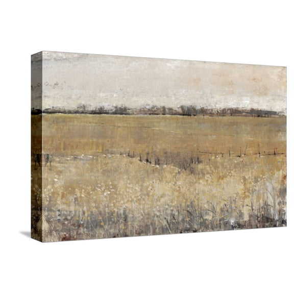 Art.com Fenced in II Stretched Canvas Print Wall Art by Tim O'toole, 18" x 12"