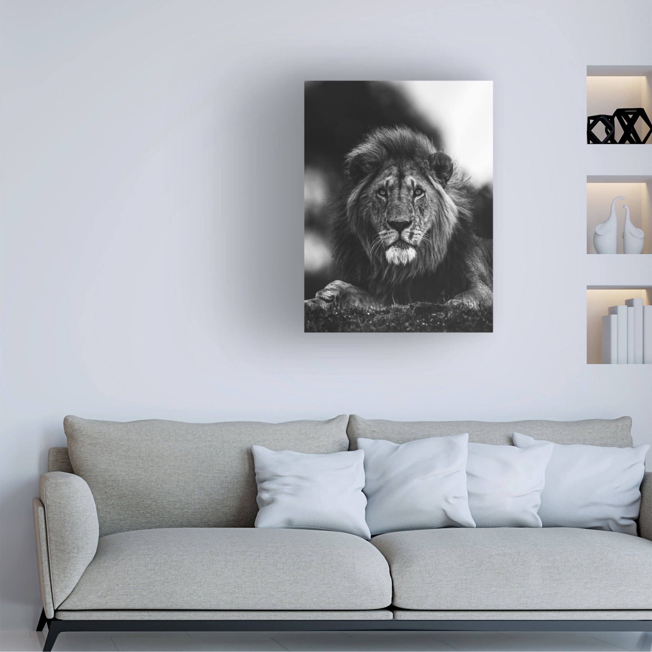 Trademark Fine Art Ahmed Sobhi Ready Canvas Wall Art
