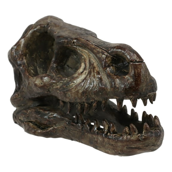 Faux Taxidermy Replica Velociraptor Dinosaur Head Fossil Small Skull Figurine