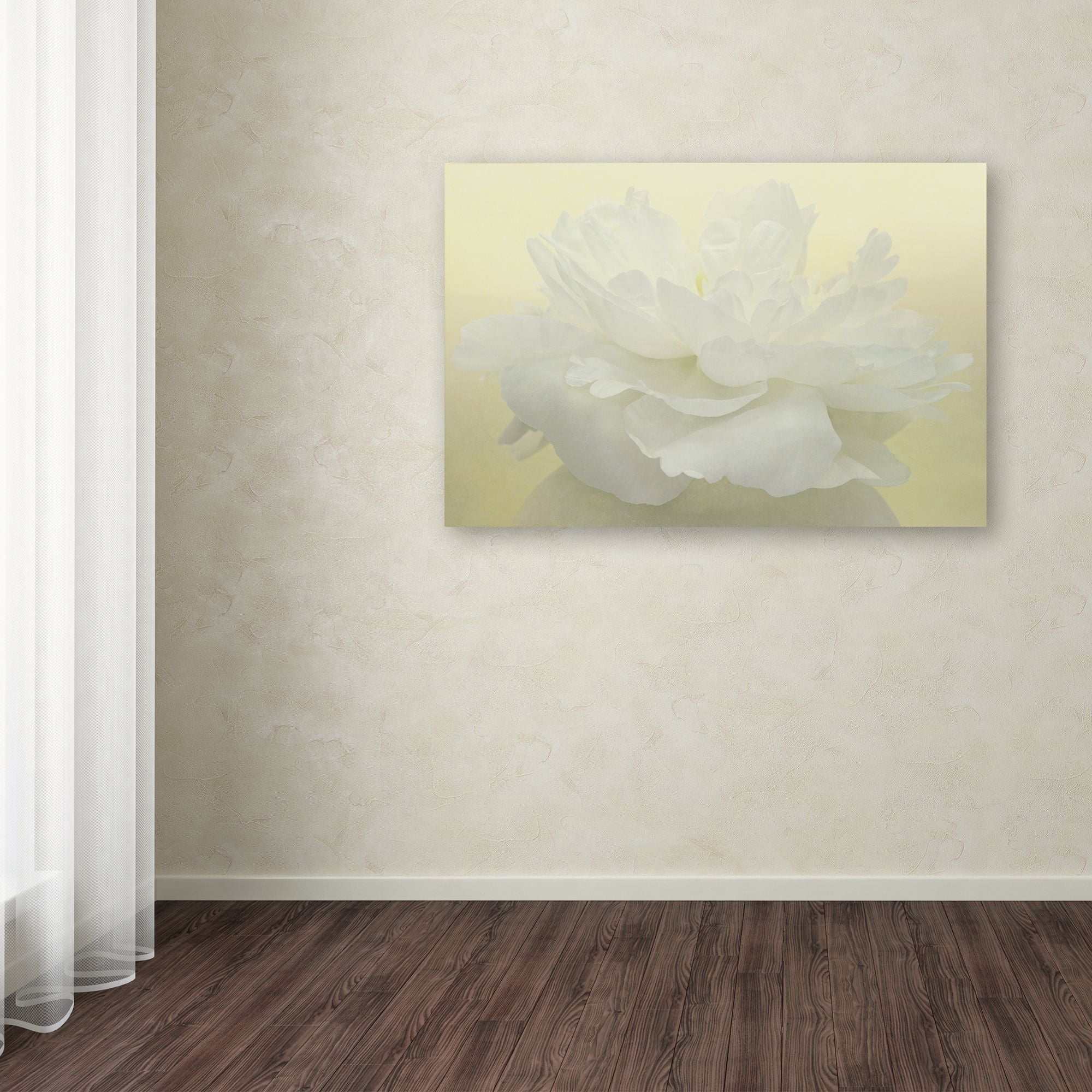 Trademark Fine Art 'Pure White Peony' Canvas Art by Cora Niele