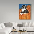 thumbnail image 3 of Trademark Fine Art 'Matisse In A Pumpkin' Canvas Art by Jan Panico, 3 of 3
