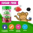 thumbnail image 3 of Orgain Kids Super Gummy Multivitamin Gummies, Children's Immune Support with Vitamins B12, C, D, E, & Zinc, Sugar Free, Mixed Berry, 50 ct, 3 of 11
