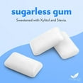 thumbnail image 3 of Evergreen Sweets Chewing gum 100 Count Jar - Natural Peppermint Gum Made with Xylitol and Stevia - Sugar-Free, Aspartame Free and Vegan, 3 of 5