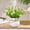 Purple, variant on Mini Potted Artificial Flowers, 7.8in Fake Daisy Plants with White Ceramic Pots for Home & Office Decor