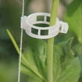 thumbnail image 3 of 100pcs Binding Collar Tie Clips Retaining Clips for Cucumber Pepper Vine Tomatoes, 3 of 5