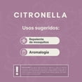 thumbnail image 4 of Kit 2 Velas De Soya | 260 g | Aroma Citronela | Duración 26 Horas | Para Exteriores e Interiores | Kit Citronella Candle | B Life., 4 of 5