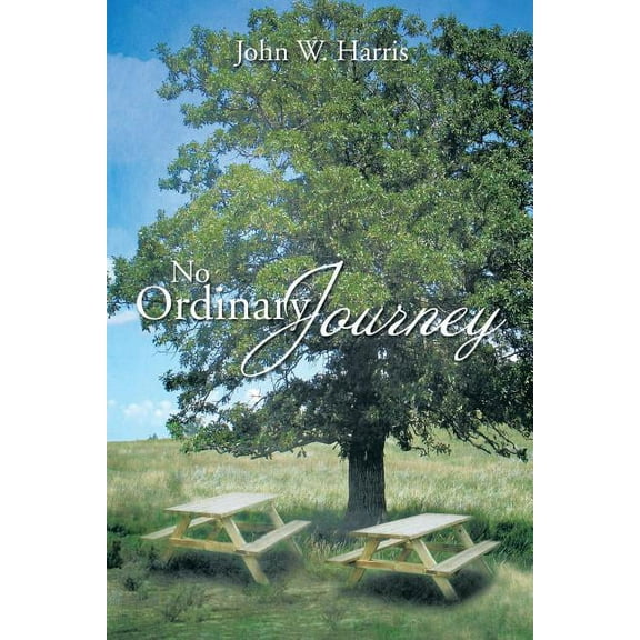 No Ordinary Journey (Paperback)