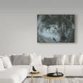 thumbnail image 3 of Trademark Fine Art 'Dark Wolf' Canvas Art by Carla Kurt, 3 of 3