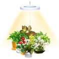 thumbnail image 1 of Plant Grow Light,Full Spectrum LED Plant Light for Indoor Plants, Height Adjustable Growing Lamp with Auto On/Off Timer 3/9/12H, 9 Dimmable Brightness, Ideal for Small Plants (Single lamp), 1 of 7