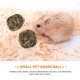 thumbnail image 3 of Golosinas para chinchillas, juguete para mascotas, juego de limpieza de bolas de hierba para conejos, juguetes para masticar para conejillos de indias, 2 piezas, 3 of 6