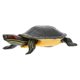 thumbnail image 2 of Puzzle Toy Sea Turtle Statue Sea Turtle Figurine Flower Pots Animal Figurines Ocean Animals Figures, 2 of 4