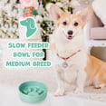 thumbnail image 2 of Ceramic Slow Feeder Dog Bowl for Medium Size, Cute Paw Slow Feeding Food Bowl for Medium Breeds, Ceramics Dog Dishes, Non Slip, Pet Brithday Gifts, Green, 2 of 8