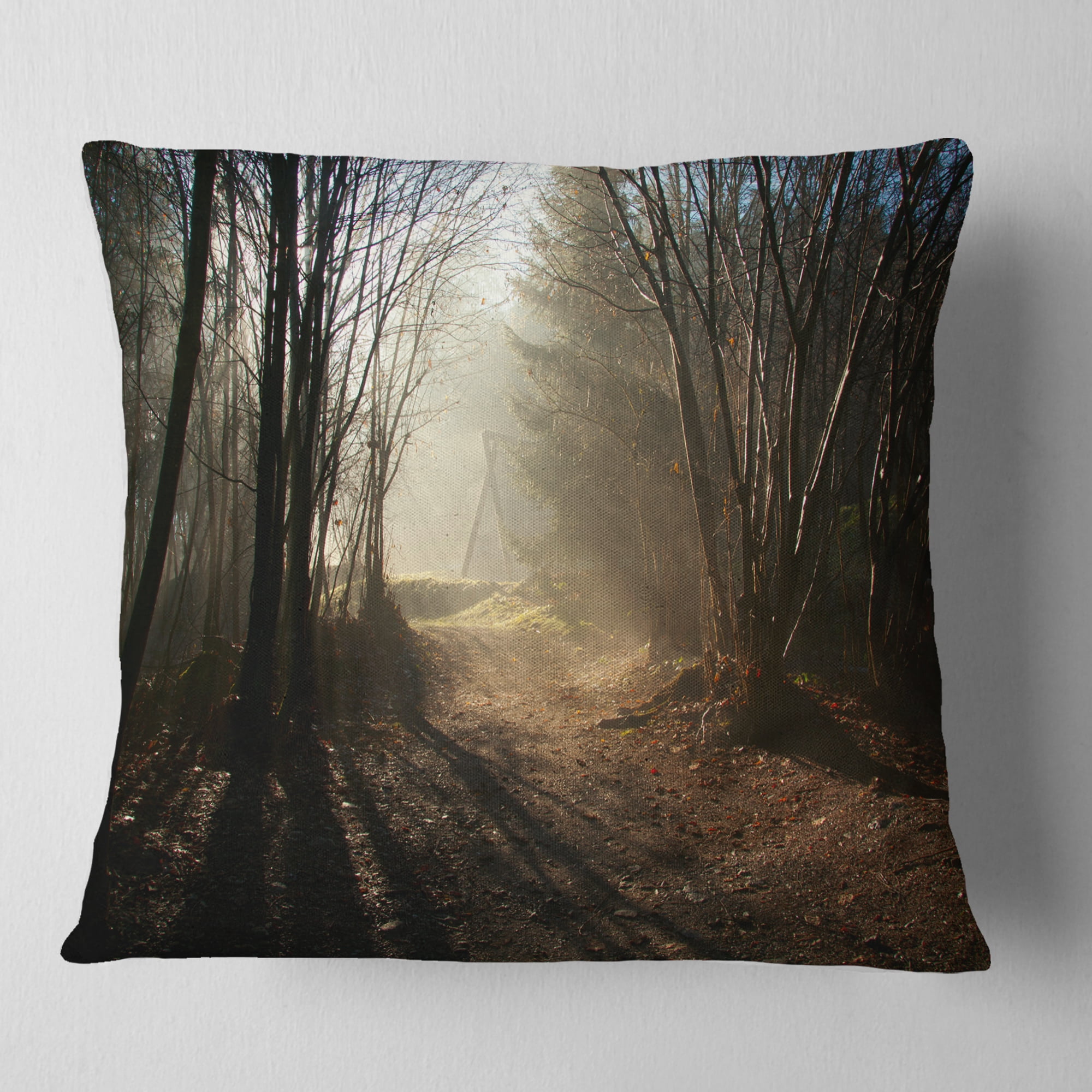 Designart Dark Path in Fall Foggy Forest - Landscape Photography Throw Pillow - 16x16
