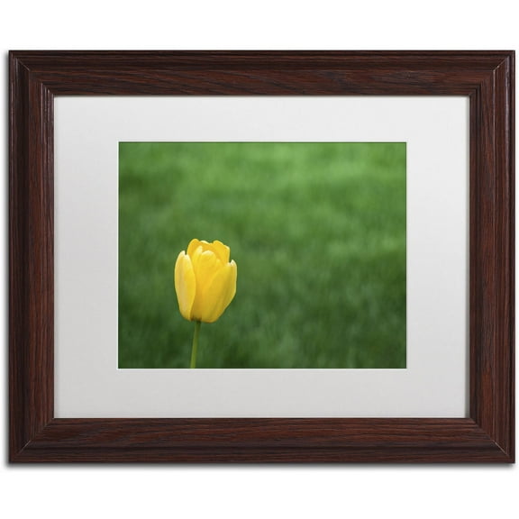Trademark Fine Art "A Lone Yellow Tulip 2" Canvas Art by Kurt Shaffer, White Matte, Wood Frame