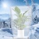 thumbnail image 4 of Funda protectora para plantas, paño anticongelante, funda protectora cálida para plantas, bolsa, funda para árboles para s 140cmx200cm Cola Manta helada, 4 of 6