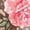 Pink, variant on Women's Casual Pants Women'S Vintage Flower Print Casual Wide Leg Pants,Green Women's Casual Pants XXXXL