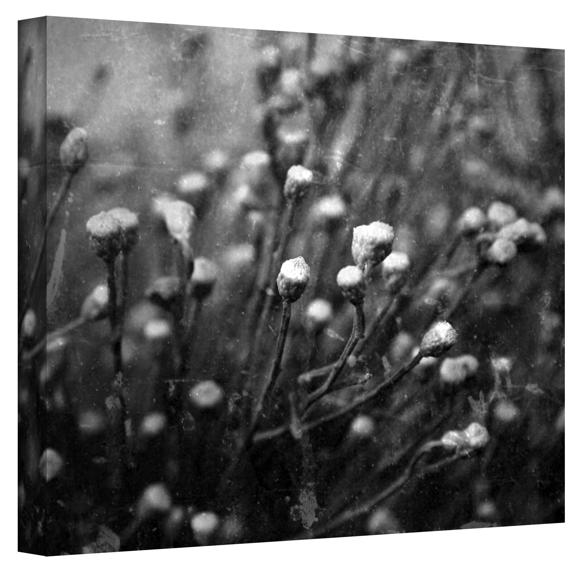 Mark Ross "Anticipation" Wrapped Canvas Art