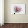thumbnail image 3 of Trademark Fine Art 'Inside Out IV' Canvas Art by Elizabeth Urquhart, 3 of 3