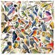 thumbnail image 1 of Paquete de pegatinas de vinilo impermeable con dibujos animados con forma de paloma, pájaro, 50 unid, 1 of 2