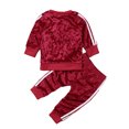 thumbnail image 4 of Dewadbow Toddler Kids Baby Girls Velvet Tracksuit T-shirt Tops Pants Outfits Set Clothes, 4 of 5