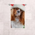 thumbnail image 6 of Soft Hand Fingertip Towels, 2 Pcs Face Bath Towels Cute Cavalier King Charles Spaniel Absorbent Washcloths for Bathroom Hotel Kitchen, 30"x15", Absorbent Soft Hand Fingertip Towels, 6 of 6