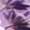 2 Black-1, variant on Honeii Lavender Roses Arrangement Print Adult Socks,Crew Socks,Casual Calf Socks,Daily Wear Socks for Men & Women, Perfect for Sports, Casual and Everyday Use