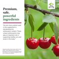 thumbnail image 5 of Terry Naturally Tart Cherry - 1000 mg 120 Capsules, 5 of 7