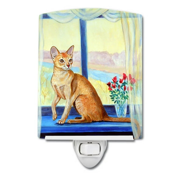 Caroline's Treasures 7091CNL Cat Ceramic Night Light, 6x4x3", multicolor