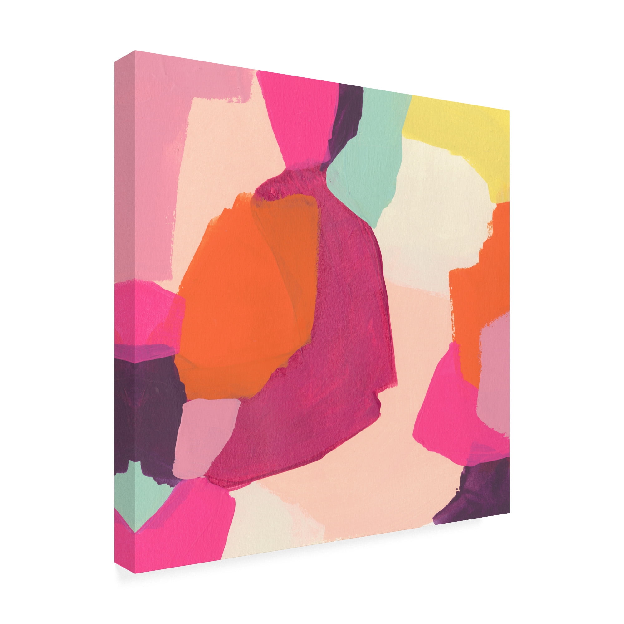 Trademark Fine Art 'Pink Slip I' Canvas Art by June Erica Vess