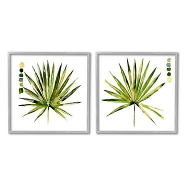 Jennifer Paxton Parker Spiky Aloe Palm Plant Paint Hue Guide 12" x 12" Framed Painting Art Prints, by Stupell Home Décor Set of 2