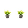 thumbnail image 4 of Redempat Plastic Easy To Clean Artificial Succulent Realistic Appearance Long-lasting Durability Eco-friendly yellow rose 2Set, 4 of 6