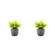 thumbnail image 1 of Inteprter Decoración artificial elegante de la planta en conserva fácil limpiar el árbol artificial del dinero en pote respetuoso del medio Type3 NO3, 1 of 6