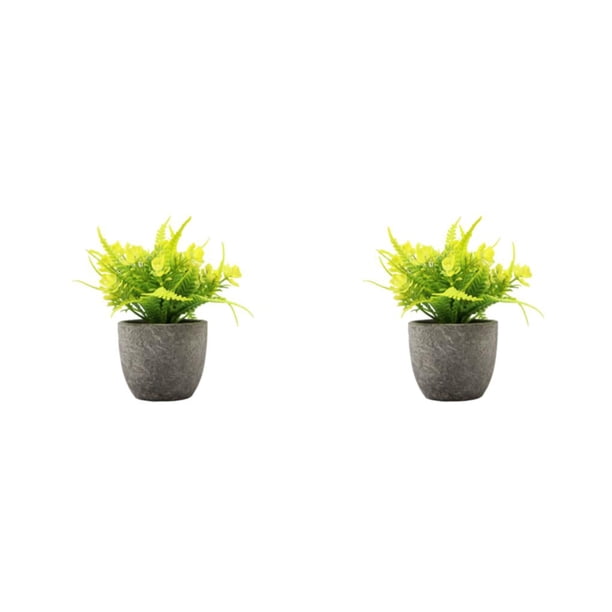 Inteprter Decoración artificial elegante de la planta en conserva fácil limpiar el árbol artificial del dinero en pote respetuoso del medio Type3 NO3