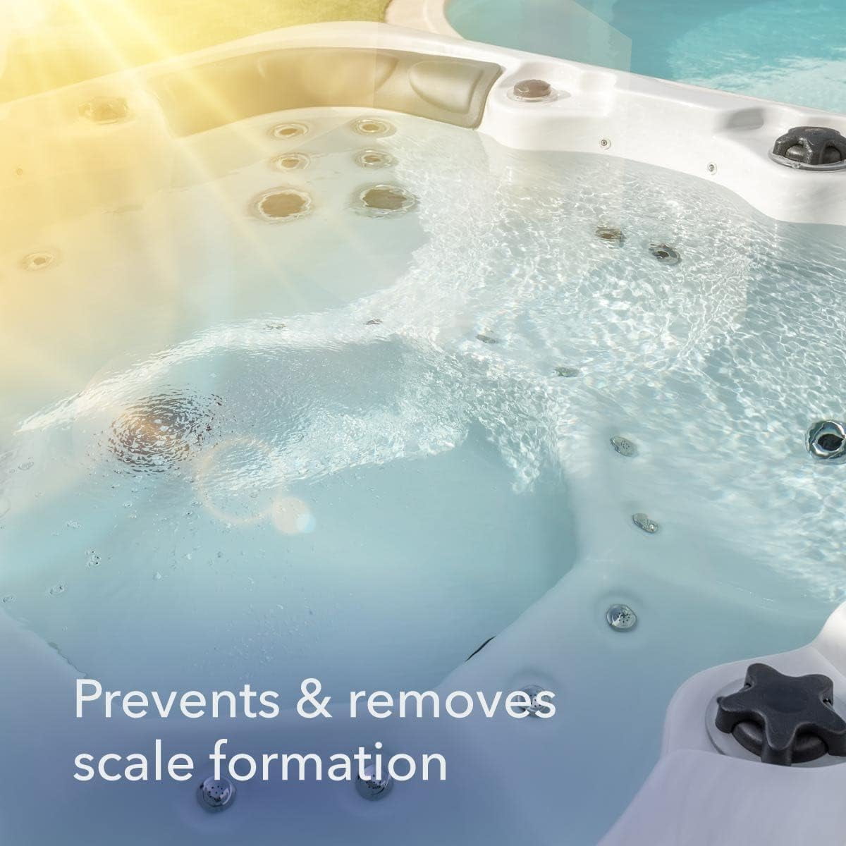 Leisure Time B-12 Defender for Spas and Hot Tubs 1 Quart 12 Pack