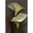 thumbnail image 2 of Louis Comfort Tiffany 17x24 Gold Ornate Framed and Double Matted Museum Art Print Titled - Calla Lilies (1865), 2 of 4