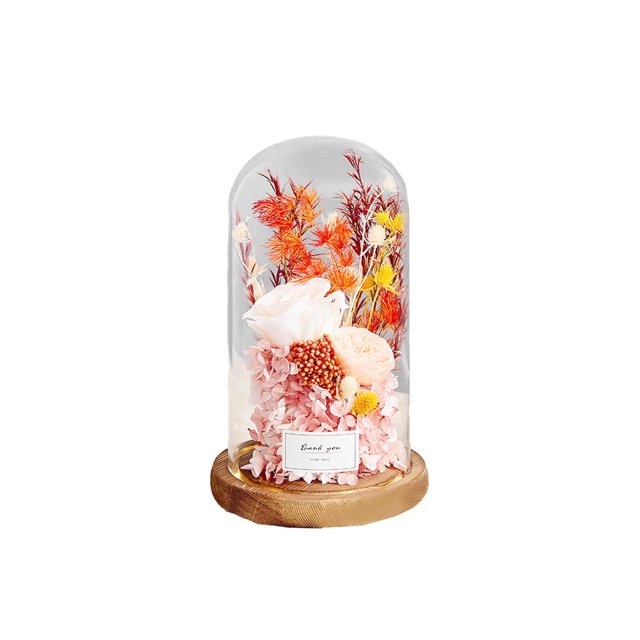 Cateissary Decor The Beautiful the Beast Immortal Rose Cover Ornament Flor seca Día Cumpleaños Regalo de boda, Decoración de flores. Decoración del hogar champán 15x22cm
