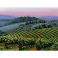 thumbnail image 2 of Swanson, Michael 14x12 White Modern Wood Framed Museum Art Print Titled - Chianti Dusk, 2 of 4