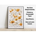 thumbnail image 4 of Poppy, California State Flower, Poster Print, Wall Décor, 4 of 6