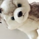 thumbnail image 5 of XWSHYW Juguetes para Niños Perro Realista, Figura Realista Juguete Perro Relleno Anim, 5 of 6