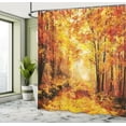 thumbnail image 5 of Ambesonne Nature Shower Curtain, Autumn in Relax Forest, 69"Wx70"L, Orange Brown, 5 of 5