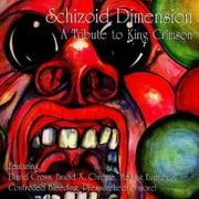 Schizoid Dimension: A Tribute To King Crimson