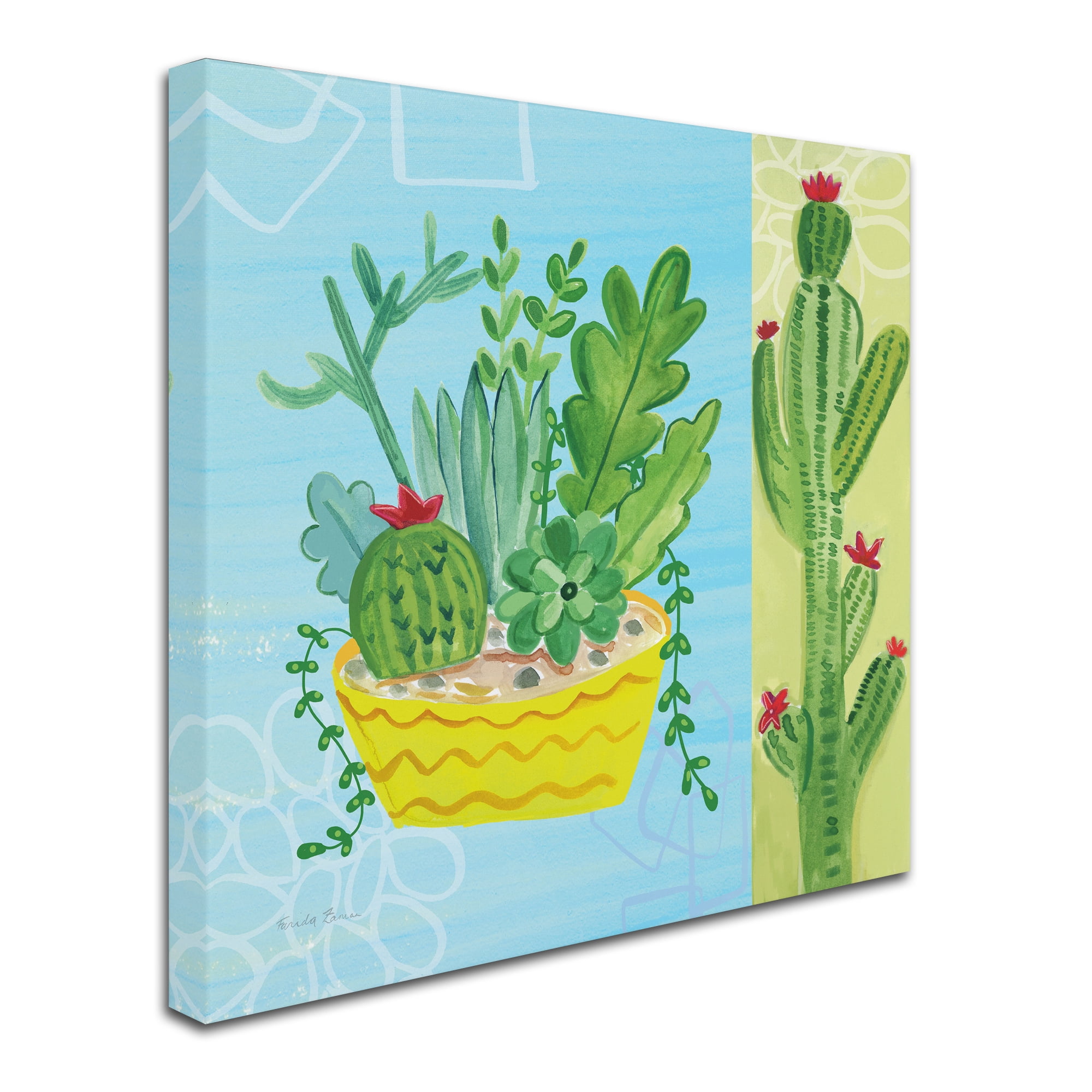 Trademark Fine Art 'Cacti Garden IV no Birds' Canvas Art by Farida Zaman