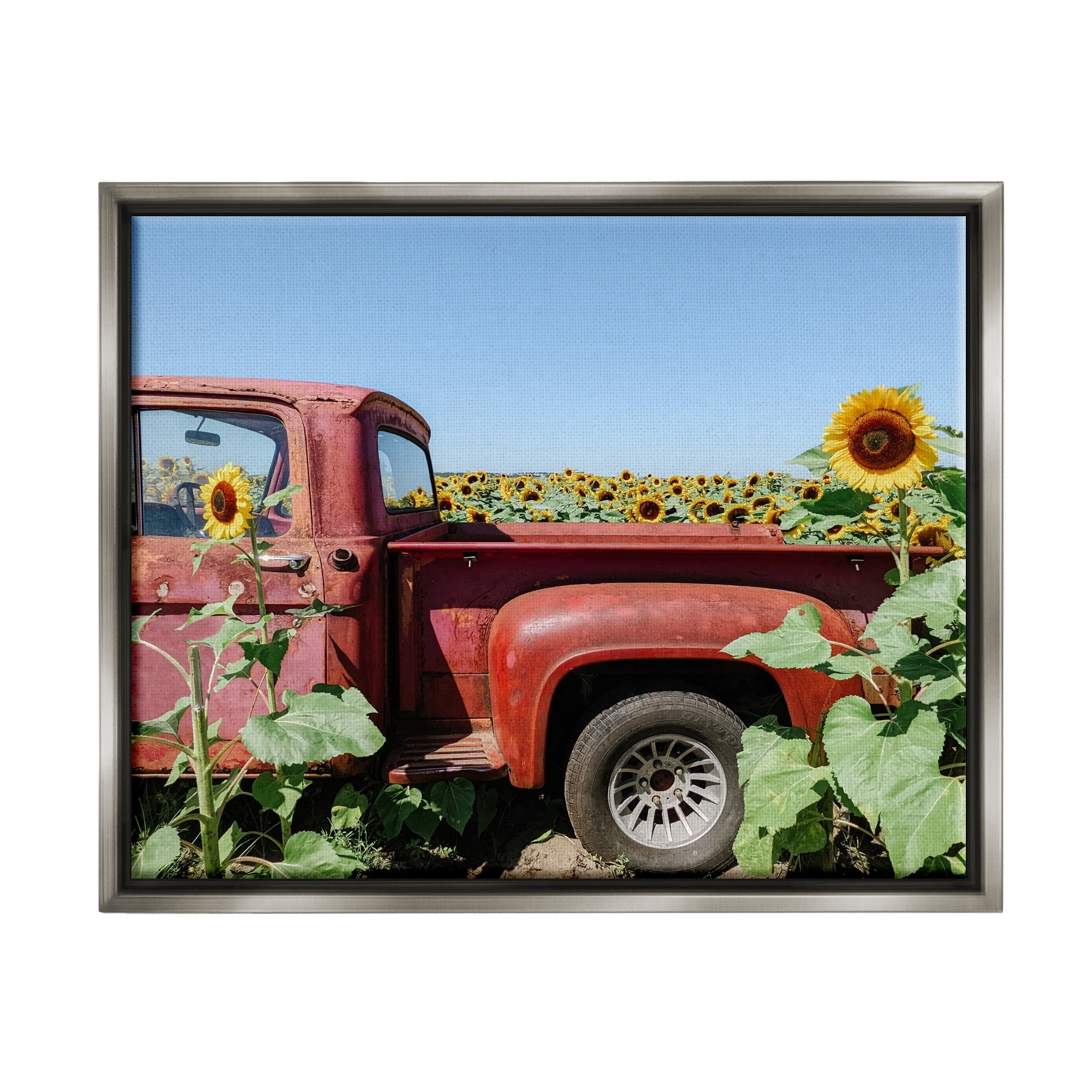 Stupell Industries Red Vintage Pickup Truck Amidst Sunflower Field Photograph Luster Gray Floating Framed Canvas Print Wall Art, Design by Kali Wilson