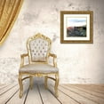 thumbnail image 3 of Villa, Mlli 20x20 Gold Ornate Wood Framed with Double Matting Museum Art Print Titled - Round Up, 3 of 4