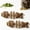Assorted flavors(2), variant on Catnip and Silvervine Chew, Cat Chew Toy,Designed Specifically for Cats,Suitable for Biting,Licking,Helping to Relieve Boredom and Enrich Their Lives