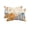 Light pink, variant on Pack of 2 Outdoor Lumbar Pillow Covers 11x16 Inch, Vintage Pumpkin Fall Waterproof Throw Pillow Covers Set, Thanksgiving Weeping Maple Leaves Decorative Cushion Cases for Patio Porch Car