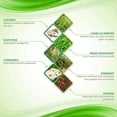 thumbnail image 3 of Shape and Tone Cream Body Shaping Firming Toning Moisturizing Cellulite Gel 5.07oz, 3 of 7