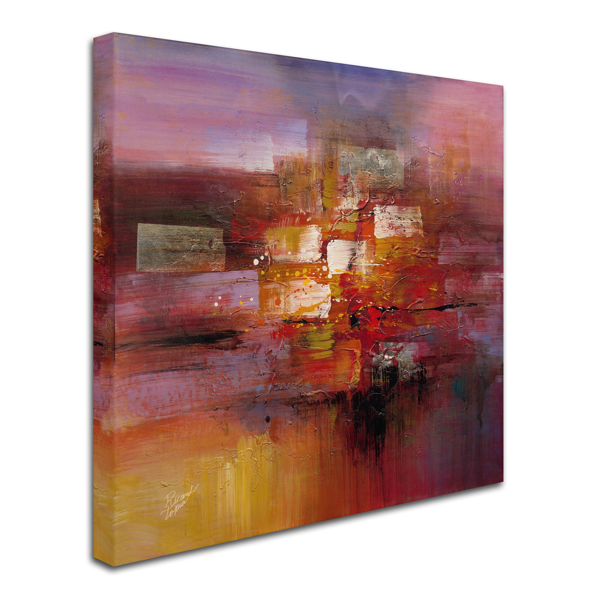 Trademark Fine Art "Shadows" Canvas Art by Ricardo Tapia