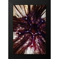 thumbnail image 2 of Factor, Beverly 17x24 Black Modern Framed Museum Art Print Titled - Passion Flower - Thailand, 2 of 5