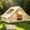 9.8x6.8 FT (4 to 6 people), variant on ICEEIF Inflatable Camping Tent with Skylight, 420D Oxford Waterproof Air Tent with Pump, Storage Bag, Stove Jack for 4-10 Adults